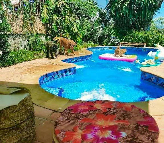 Valencia, Villa, Piscina Privada, Junto A-7 Cerca De Playas, Aeropuerto, Cheste